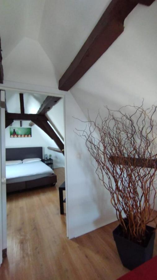 Апартаменты The 16Th Century Duplex In The City Center Антверпен Экстерьер фото